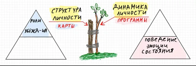 Структура и динамика личности